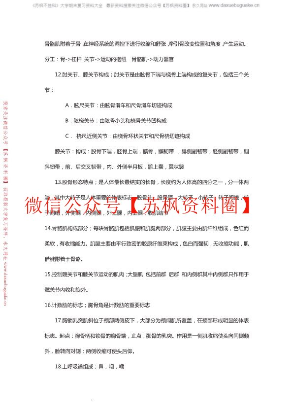 人体解剖学